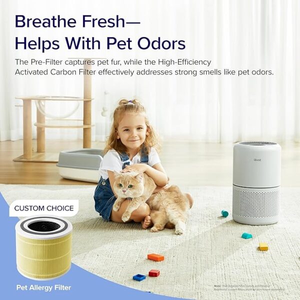 Home Allergies Pets Hair in Bedroom - Image 4